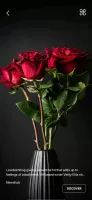 Daily Wallpaper