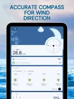 Wind Compass