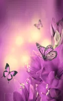 Butterfly Live Wallpaper