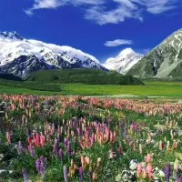 Nature Jigsaw Puzzles
