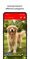 150 Animal Sounds