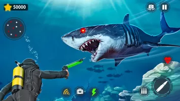 Shark Games & Fish Hunting