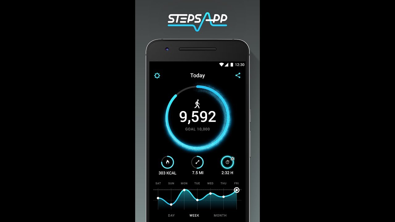 StepsApp Pedometer & Step Counter (Play Store)