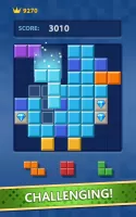 Block Puzzle: Block Smash Game