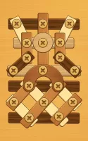 Screw Puzzle