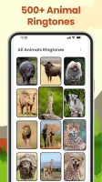 Animal Sounds: Animal Ringtone