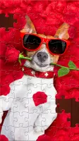 Jigsaw Puzzles Explorer