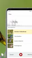Merlin Bird ID by Cornell Lab