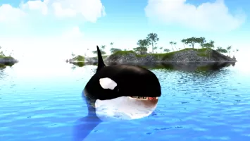 The Killer Whale