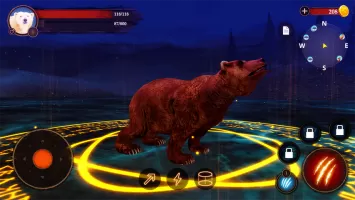 The Bear