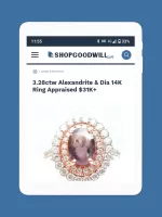 ShopGoodwill