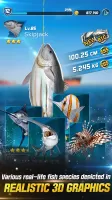 Ace Fishing