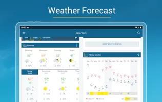 Weather & Radar