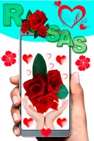 Rosas con frases para dedicar