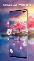 Transparent Live Wallpaper