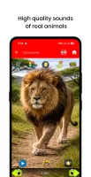 150 Animal Sounds