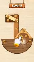Unscrew Puzzle: Nuts and Bolts
