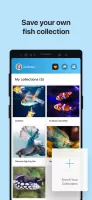 Picture Fish