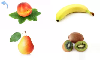 Fruits and Vegetables for Kids