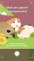 Forest Island : Relaxing Game