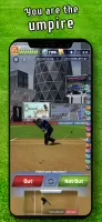Cricket LBW - Umpire's Call