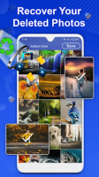 File Manager : Media Recovery