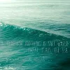 dolphin wave