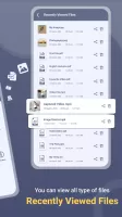 Bin File Opener and Viewer