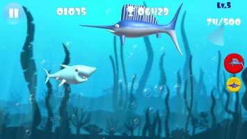 Big Shark