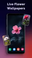 Transparent Camera Screen