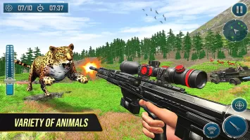 Animal Attack: Animal Games