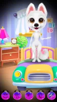 Simba The Puppy - Daily Caring