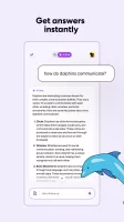 Yahoo Search