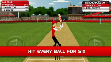 Stick Cricket Classic