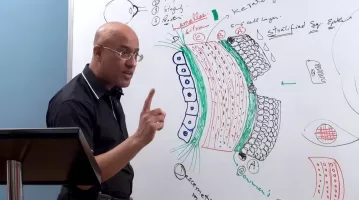 Dr. Najeeb Lectures