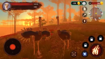 The Ostrich