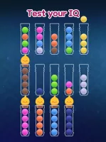 Sort Ball : Brain Age