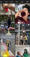Funny Videos