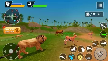 Lion Games Animal Simulator 3D