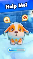 Dog Escape