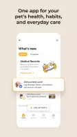 Petcube