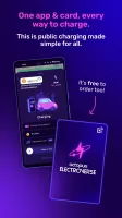 Octopus Electroverse