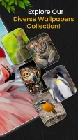 Animal Ringtones & Wallpapers