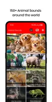 150 Animal Sounds