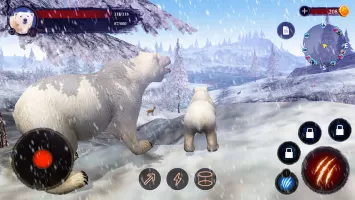 The Bear