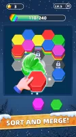 Hexa Puzzle Game: Color Sort