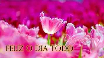 Imagem de Bom Dia