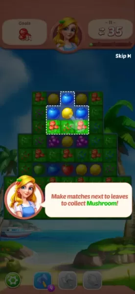 Fruit Diary - Match 3 Games