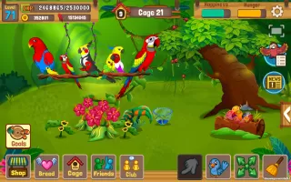 Bird Land: Pet Shop Bird Games