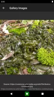 Bacteria: Types, Infections
